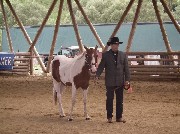 Bericht über den Erfolg von Karl und Pager.