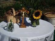 Bericht über das Sommerfest und die Pferdesegnung am 17.7.2011.